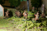 SSWG bolt action Tournament