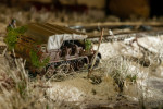 SSWG Bolt Action Tournament